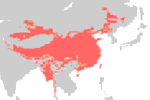 Mapa de localización de las lenguas monosilábicas
