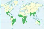 Mapa de distribución del clima tropical en el mundo