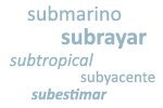 Ejemplos de palabras con el prefijo 'sub'
