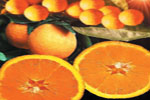 La vitamina C, presente en los cítricos