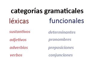 Las diferentes categorías gramaticales de la lengua