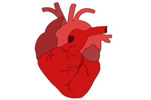 El infarto de miocardio o ataque al corazón, y sus síntomas