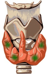 Glándulas paratiroides, alrededor del tiroides