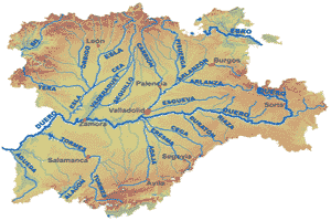 Los afluentes de mayor importancia del Duero