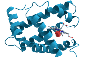 Estructura molecular de una proteína