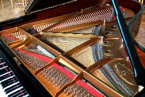 Ejemplos de las partes de que se componen los pianos